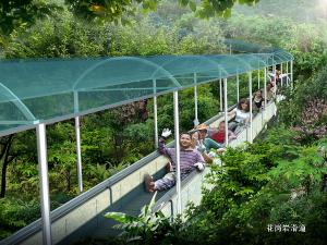 花崗巖滑道